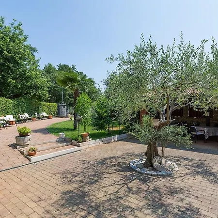Guest house Kolo Adults Only